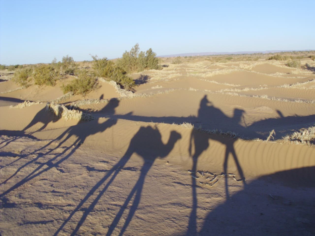 A camel rider crossing the dunes near M’Hamid, the gateway to Erg Chigaga